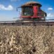 Recuperações judiciais no agro brasileiro sobem 56% e secretário de São Paulo cobra previsibilidade para o setor