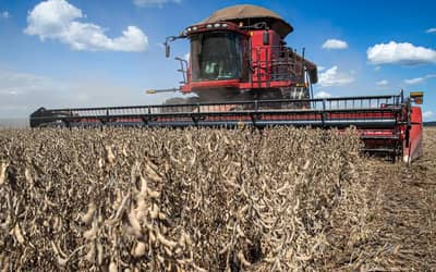 Recuperações judiciais no agro brasileiro sobem 56% e secretário de São Paulo cobra previsibilidade para o setor