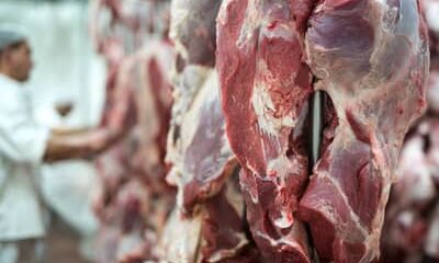 UE suspende importações de carnes do Brasil e setor busca alternativas