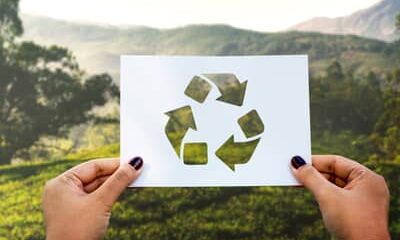 Economia circular: experiências brasileiras mostram como resíduos podem virar negócio