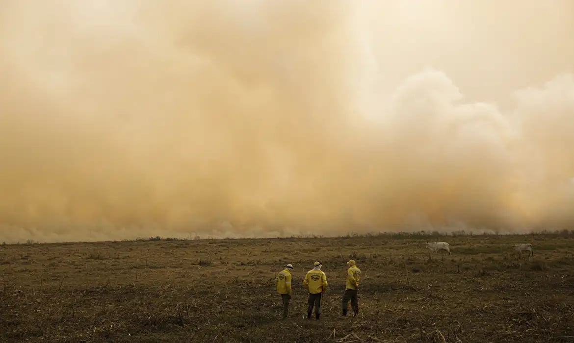 El Niño: Embrapa recomenda medidas para conservar a água e reduzir os efeitos do estresse hídrico e térmico, no Sudeste
