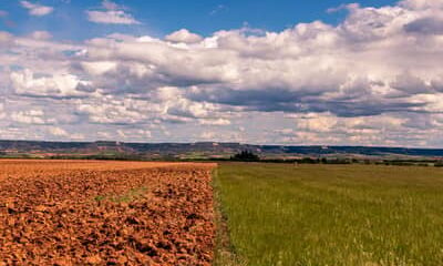 El Niño: plataforma reúne orientações para produtores rurais na safra 2026/2027