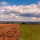 El Niño: plataforma reúne orientações para produtores rurais na safra 2026/2027