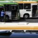 Eleições 2026: transporte público será gratuito nos dias de votação